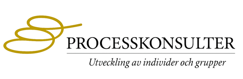 Processkonsulter i Norr AB